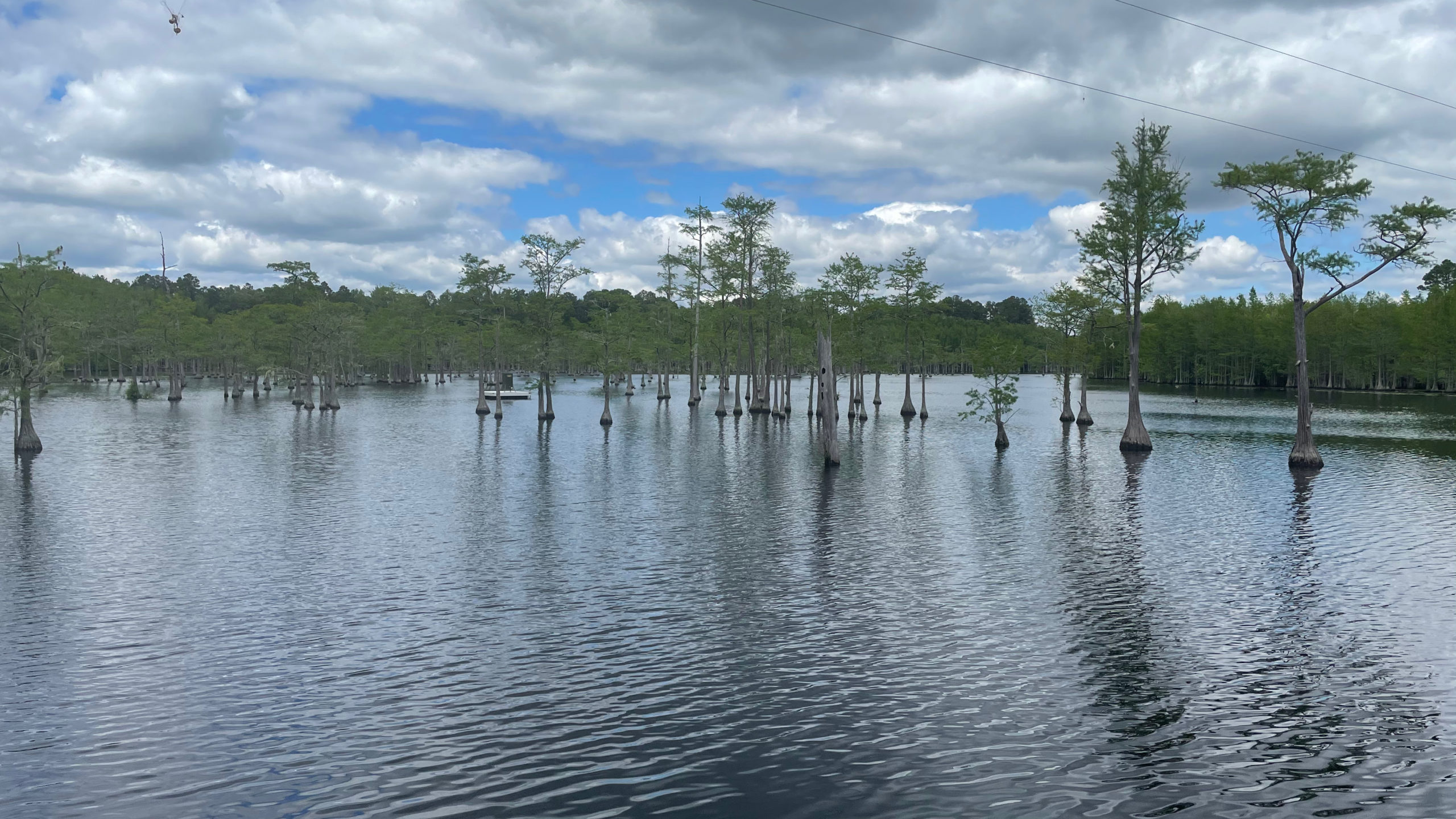 Kayaking at L. Smith State Park Squatch Trading Co.