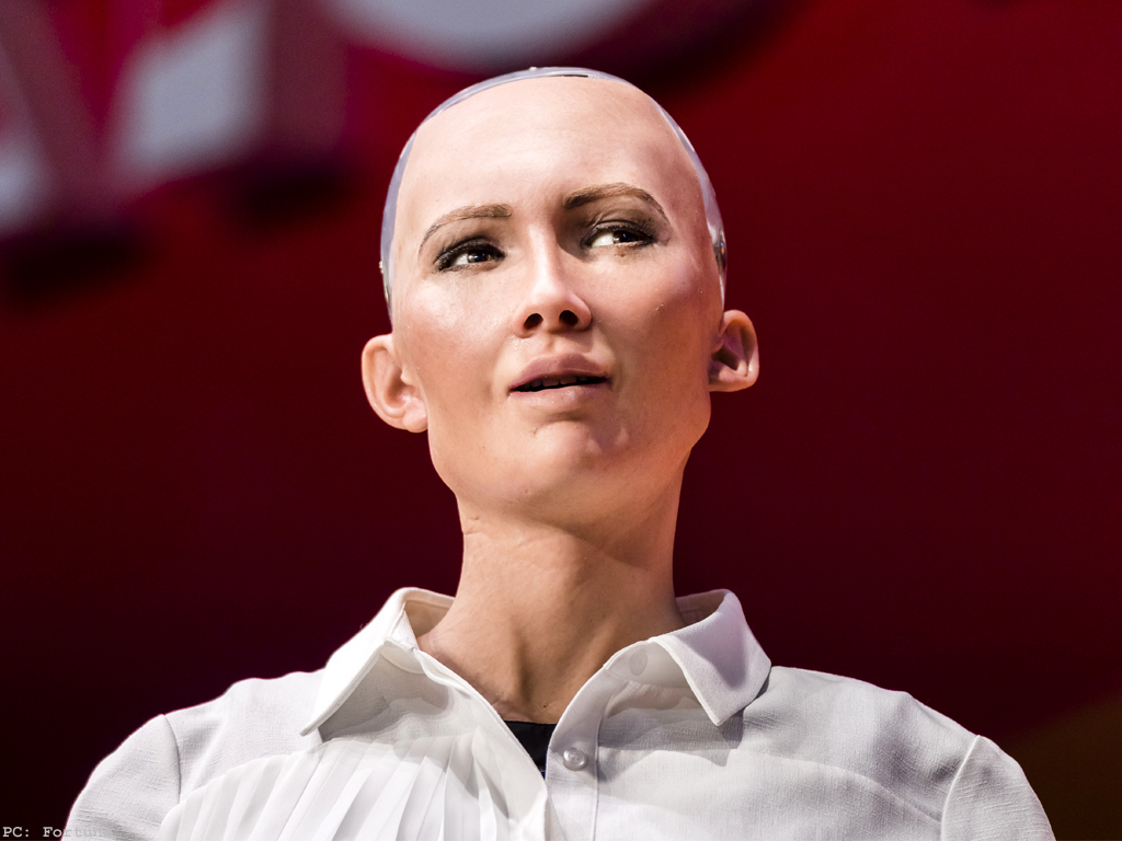 The Issue of Robots with AI