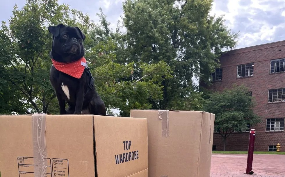 Storage Unit Deals Near Me College Graduate at University of Denver