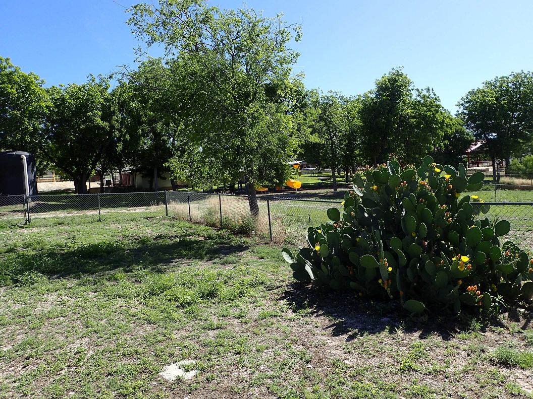 114 West Hackberry Street, Sanderson, Texas