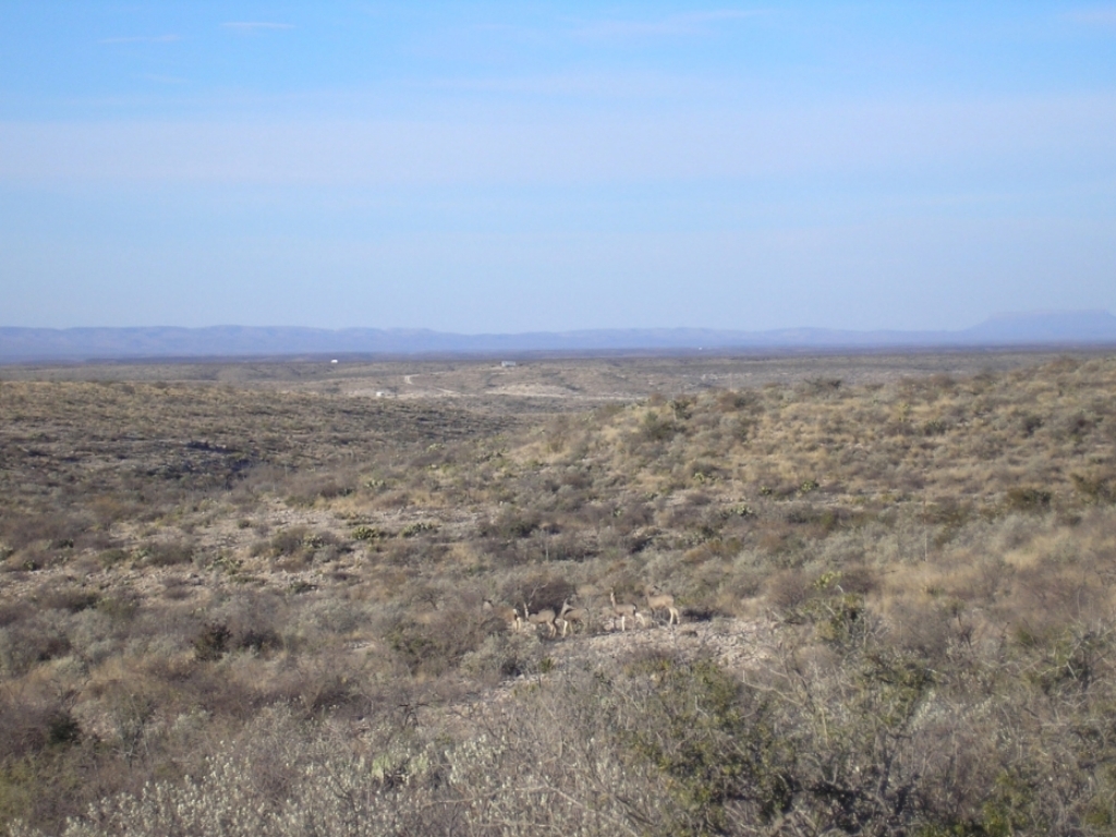 1654 acres (+/) southeast of Sanderson