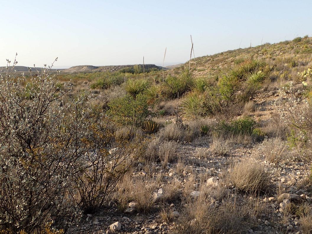 710 acres (+/) south of Sanderson