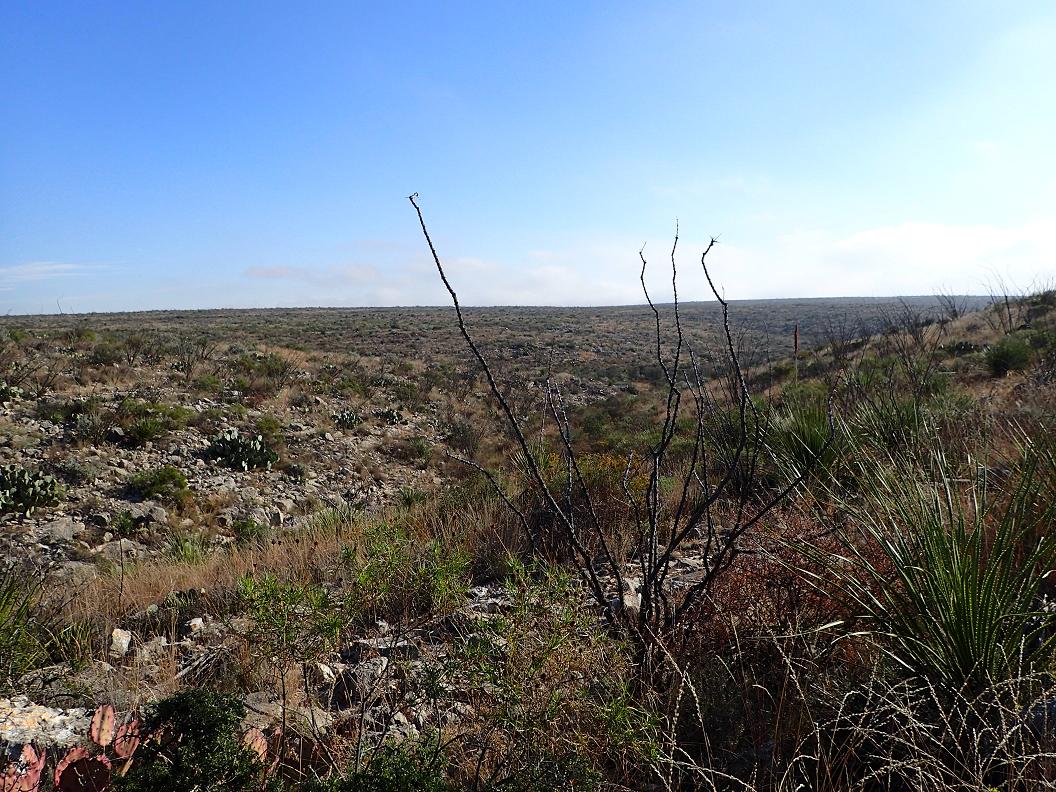 490.13 acres south of Sanderson