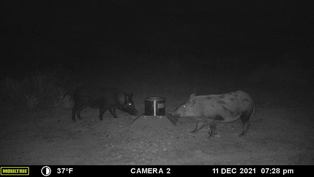 2,400.062 acres south of Sanderson