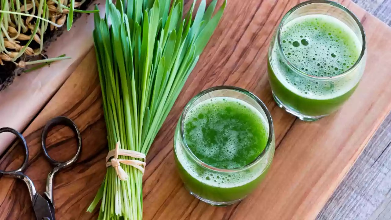 7 Amazing Wheatgrass Juice Benefits Sreeja Jude