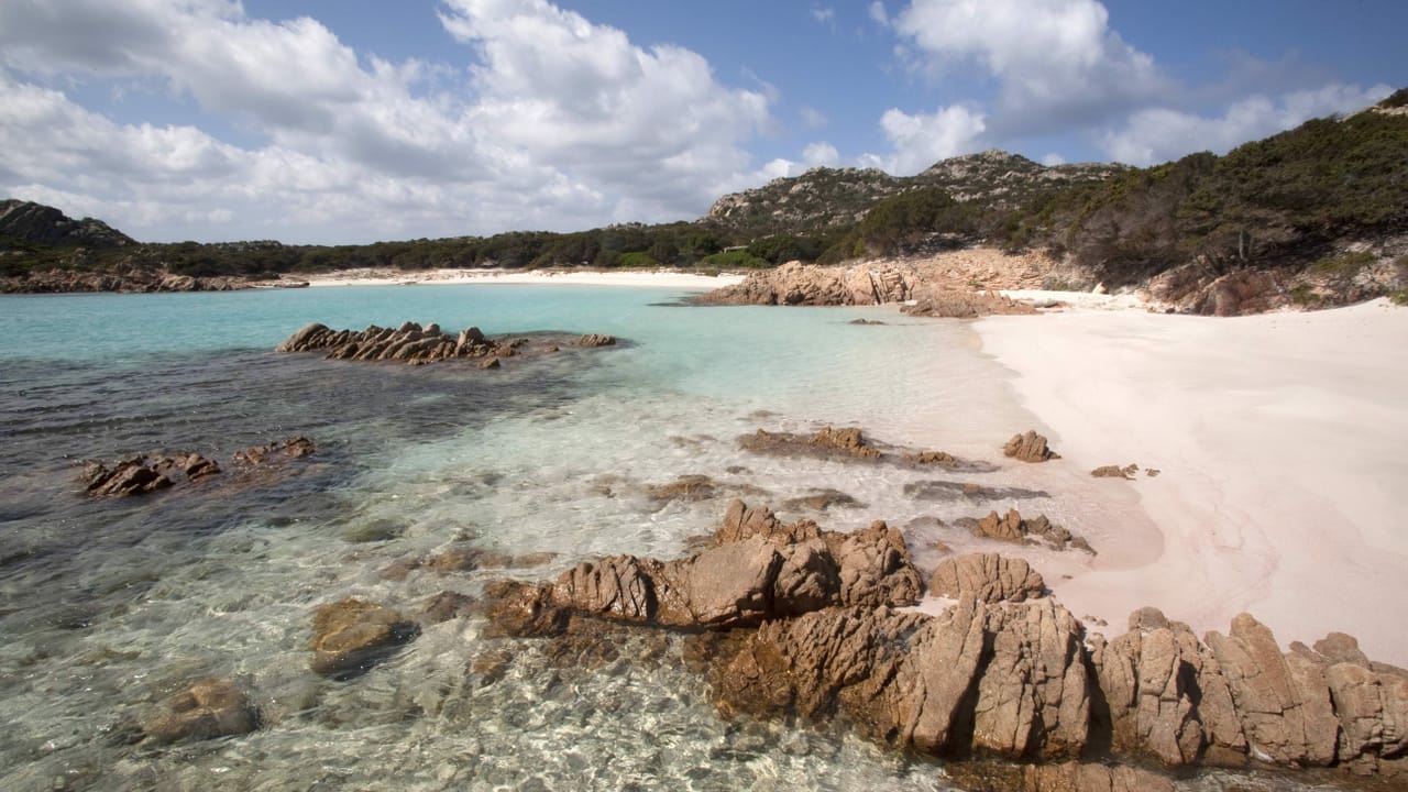 Italienischer Robinson Crusoe Vertreibung aus dem Paradies 81