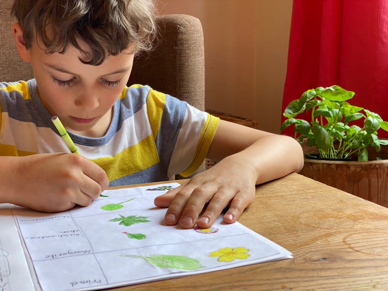 Kinder in der Natur Mit Kindern die Natur beobachten Mission B SRF