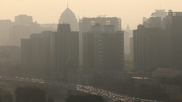 Natur & Umwelt Feinstaub fordert Millionen Todesopfer