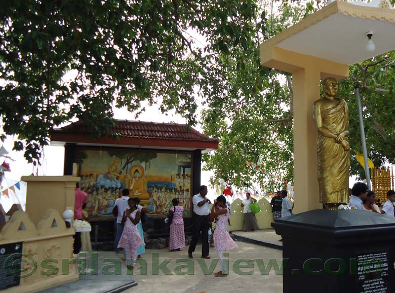 Jaffna, Nagadeepa Weather Today ,Temperature,Precipitation,Humidity