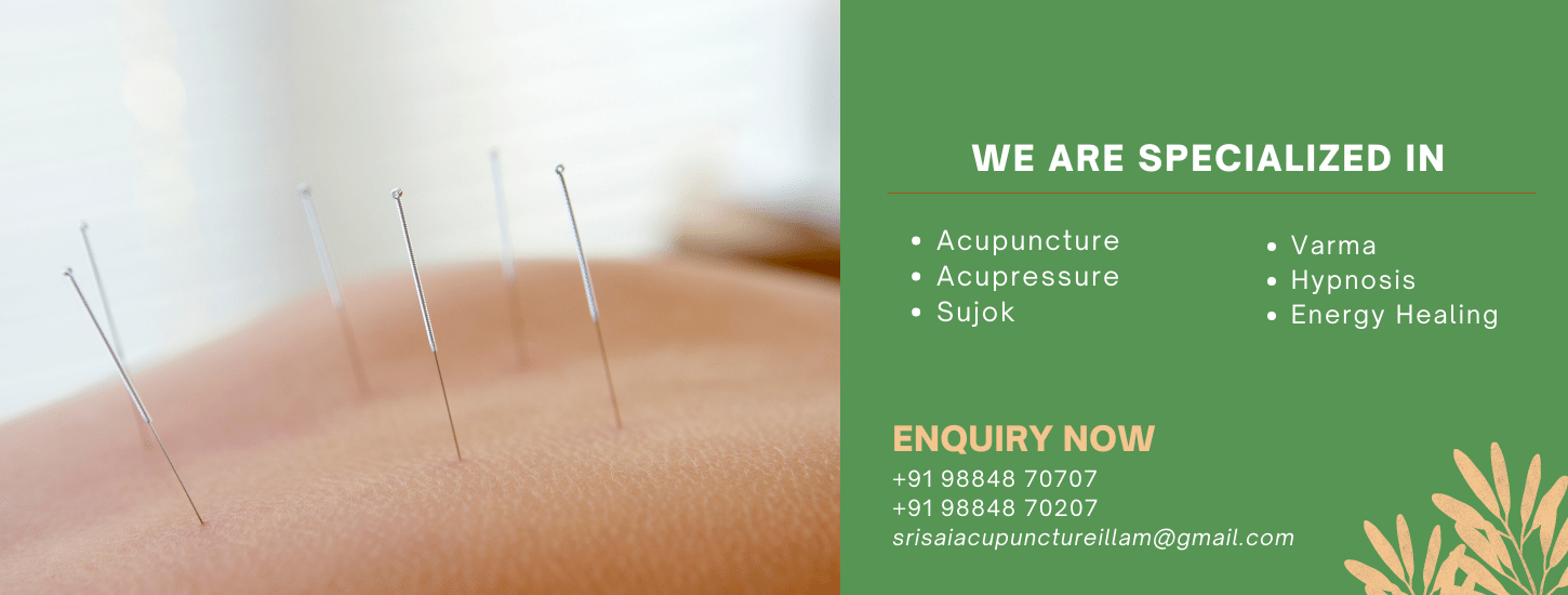 Sri Sai Acupuncture Illam in Nandanam Chennai