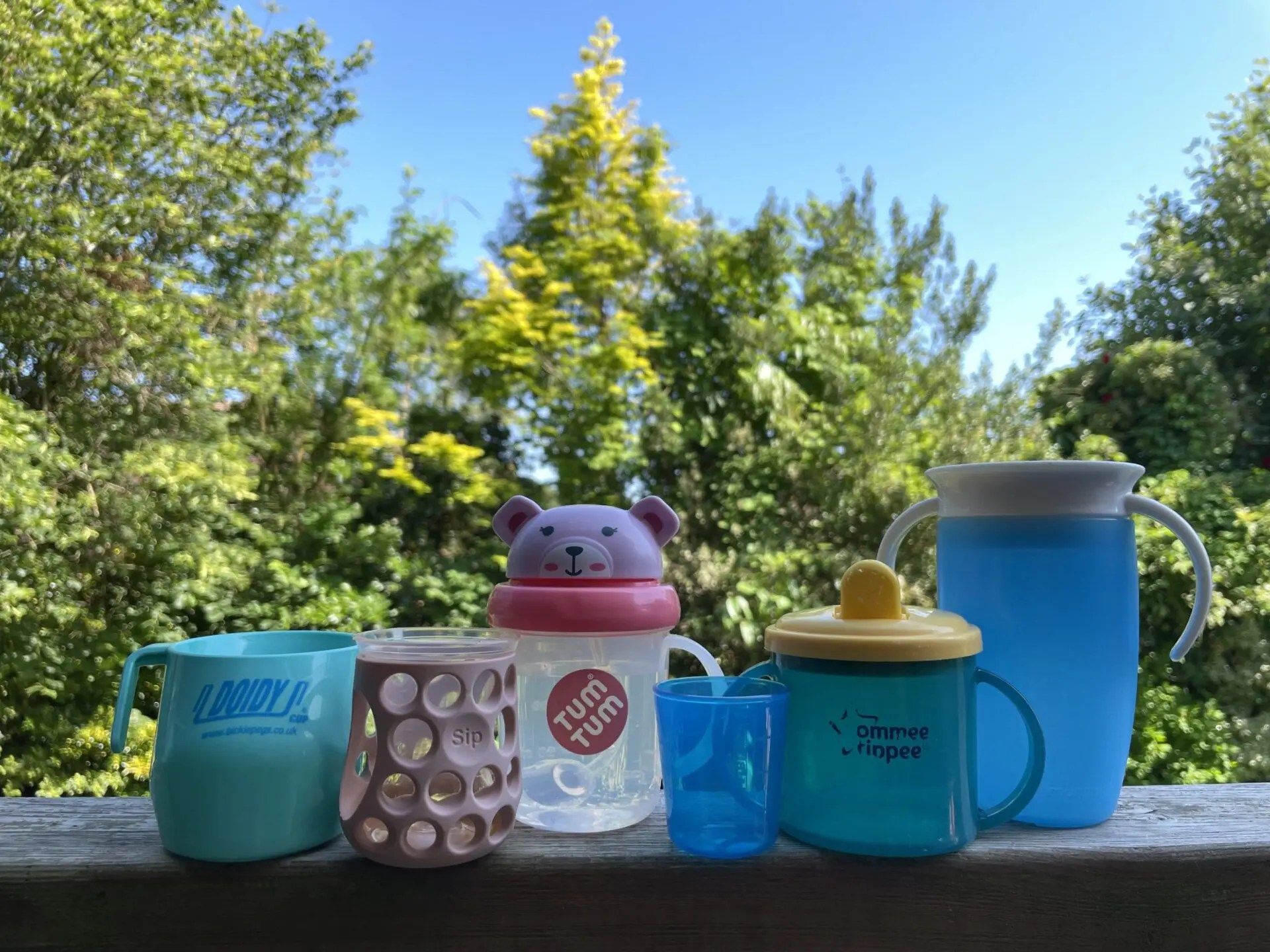 What are the Best Cups for Babies and Toddlers? SR Nutrition