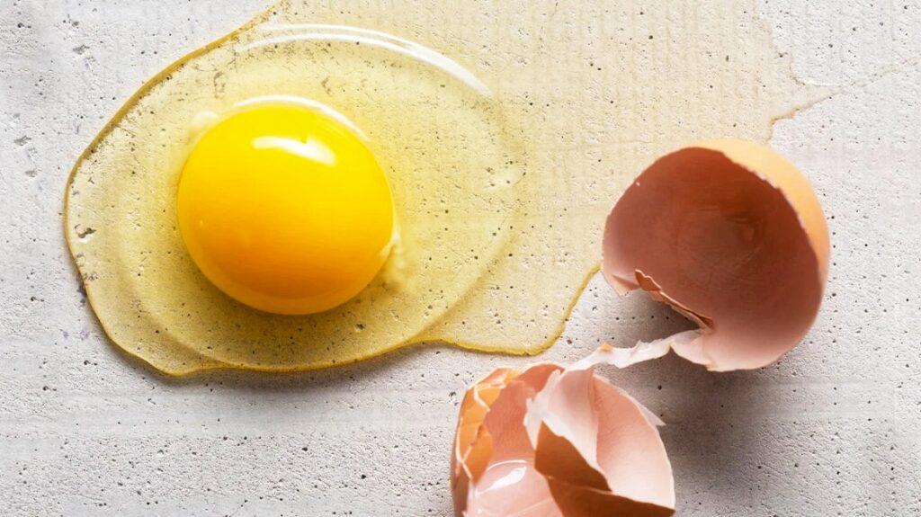 EGGSTRAORDINARY NUTRITION SR Publications