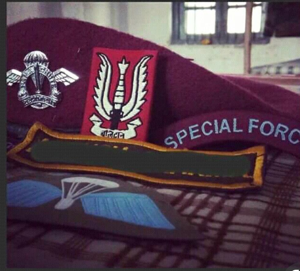 What Are The Major Differences Between Paratroopers (Airborne) And Para