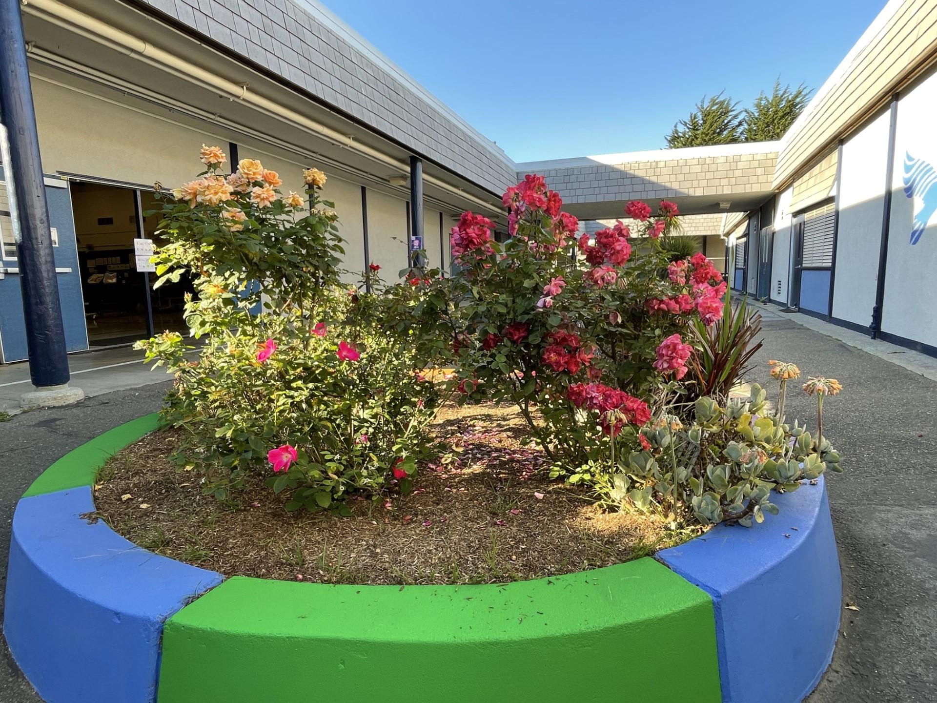 Skyline Elementary’s New Garden Is About More Than Just Plants South