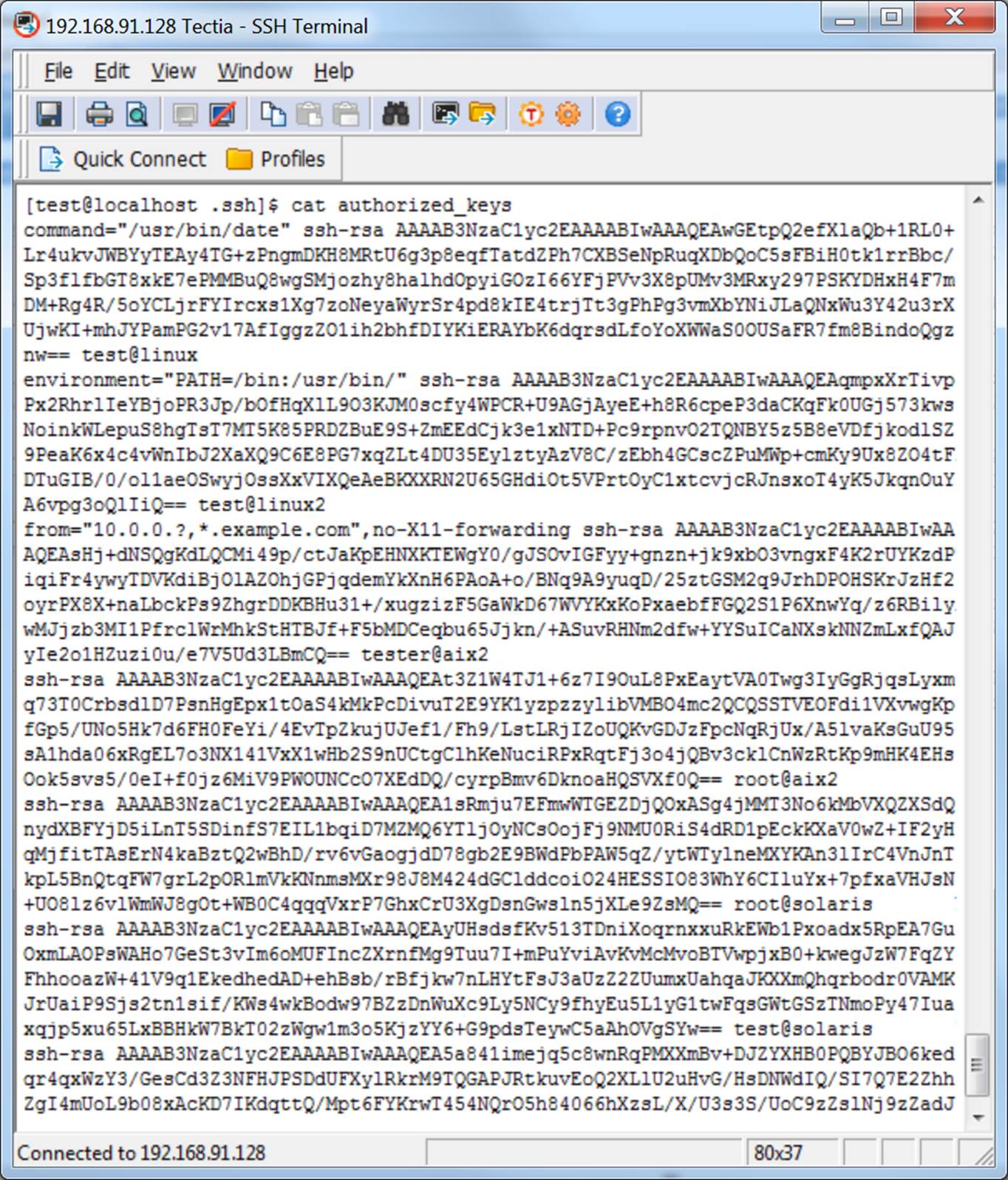 What is the Authorized Keys File in SSH?