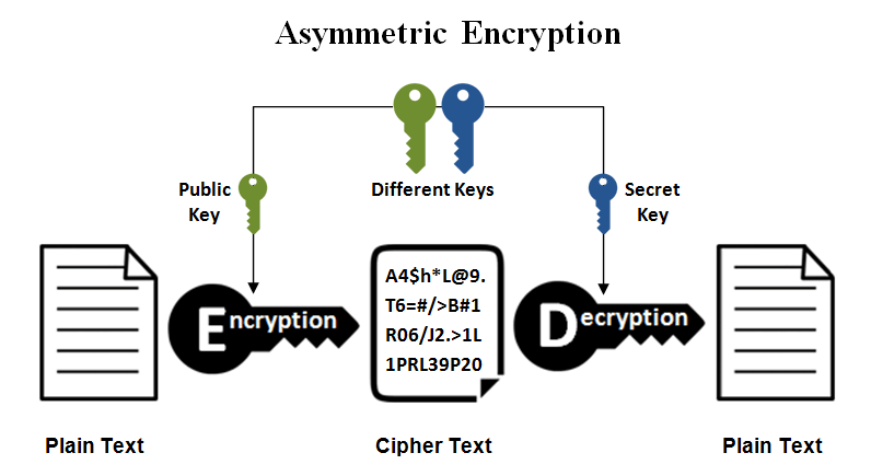 5 Best Encryption Algorithms to Shape the Future of Cryptography