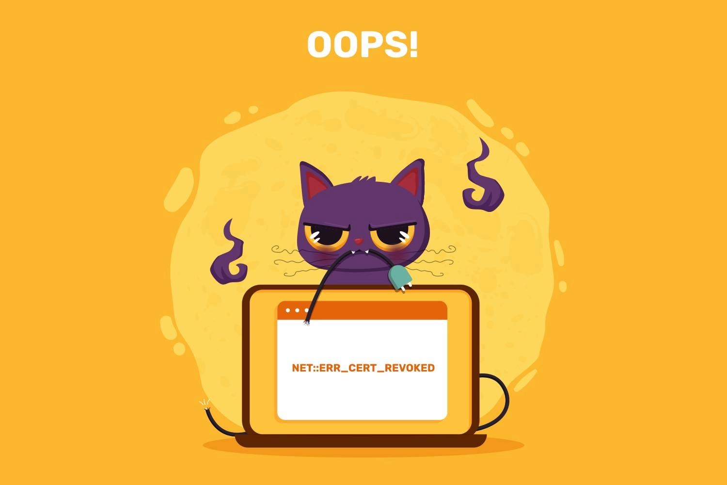 How to fix NETERR_CERT_REVOKED Error SSL Dragon