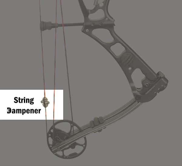 Anatomy of a Compound Bow A Hunter's Guide SSP Firearms