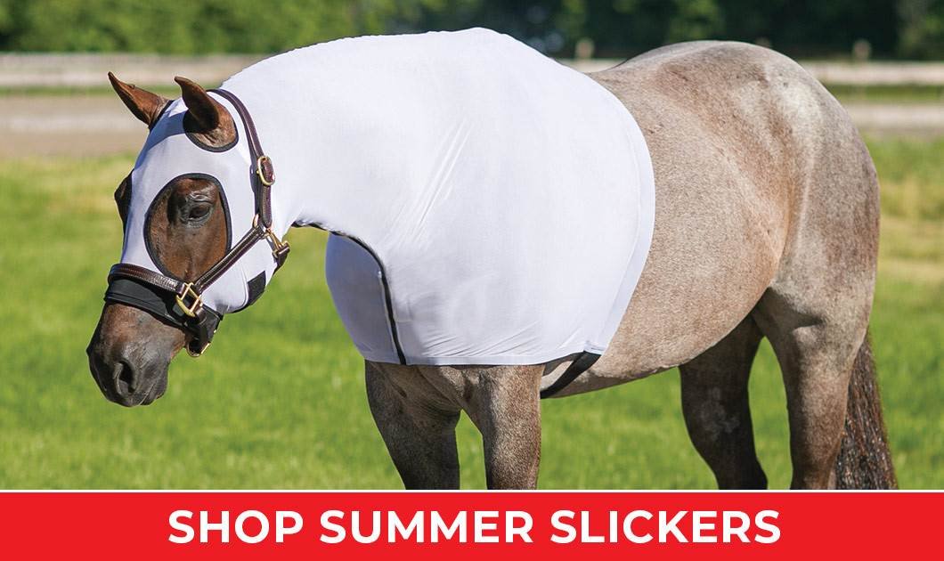 Horse Supplies, Horse Tack and More — Schneiders