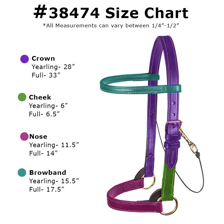 Victor Supreme Arabian Training Halter with Browband Schneiders
