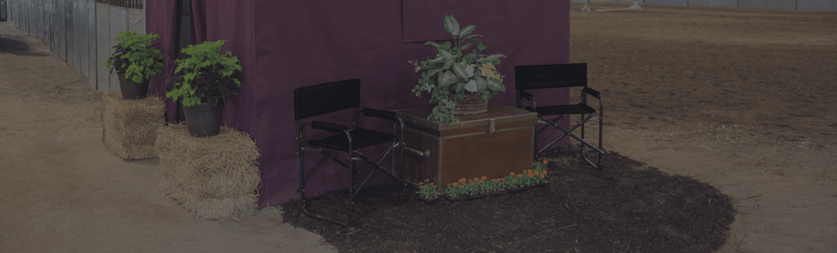 16 Horse Show Set Up Ideas Schneiders Saddlery