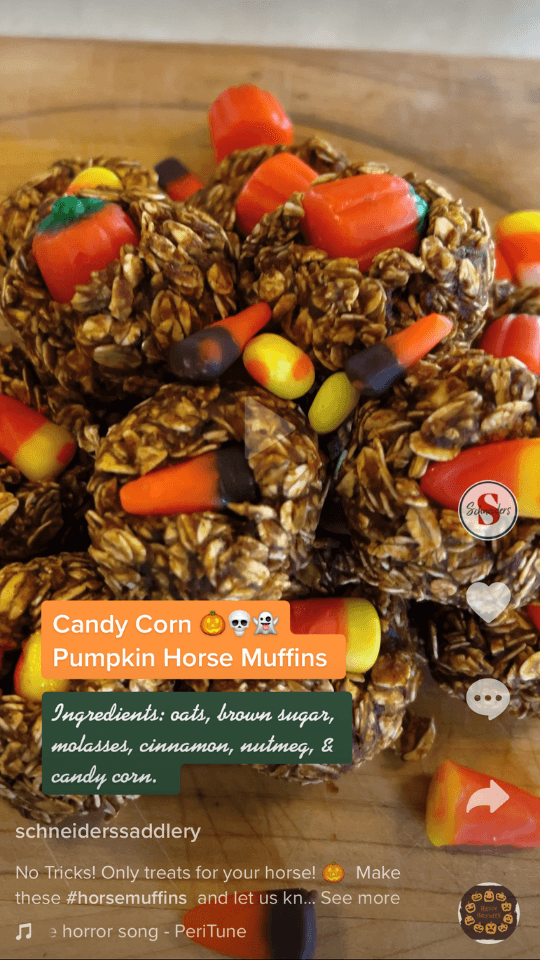 Halloween Pumpkin Horse Treat Recipe Schneiders Blog