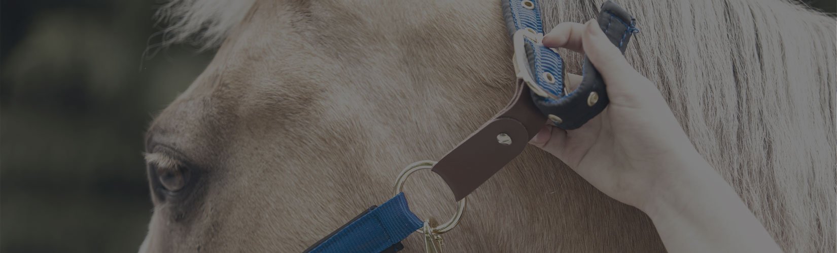 Product Guides Schneiders Saddlery