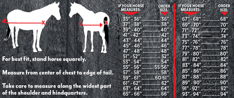 How to Measure Your Horse for a Blanket