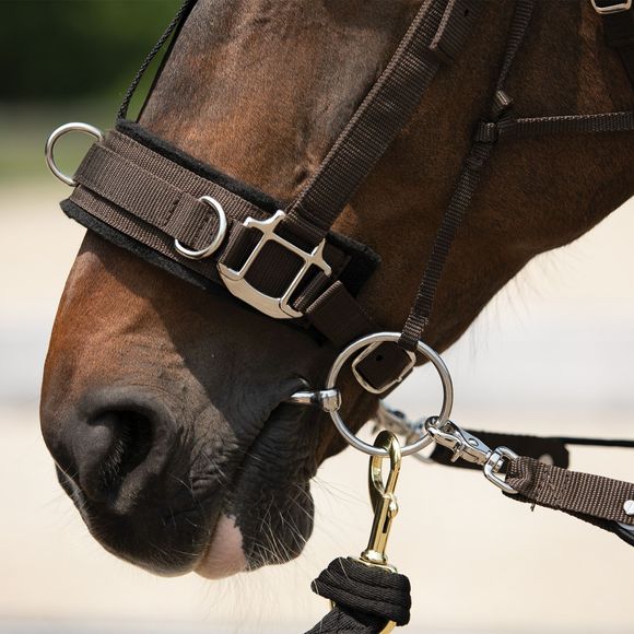 DuraTech® Balance Training System Complete Set Schneiders Saddlery