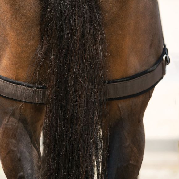 DuraTech® Balance Training System Complete Set Schneiders Saddlery