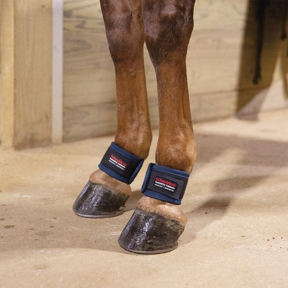 DuraTech® Ankle Wraps (5 Schneiders Saddlery