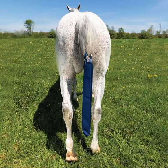 Horse Tail Bags Equine Tail Protection Schneiders