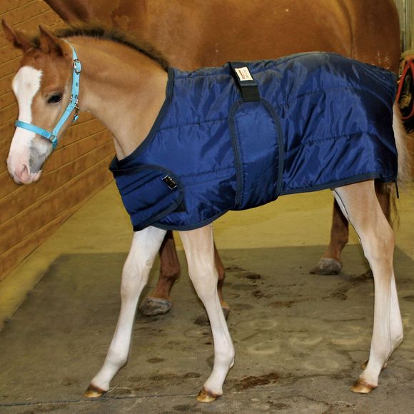 Foal Blankets Baby Horse Blankets Sheets Schneiders