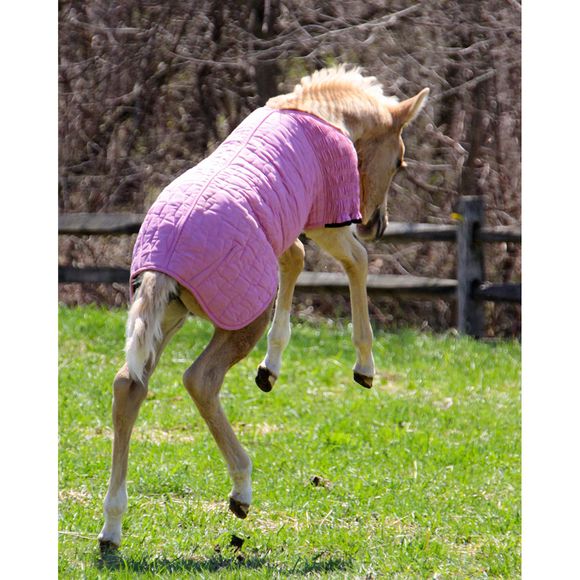 UltraFlex® Foal Saver® Lightweight Blanket Schneiders Saddlery