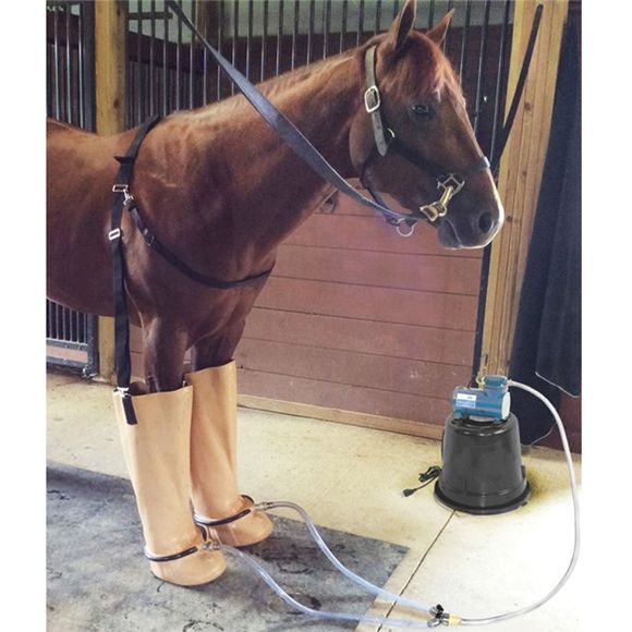 Ice Boots for Horses Soaking Boots Schneiders
