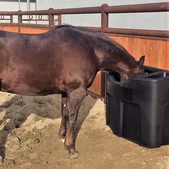 Pro Panel Wall Grazer® 3 in 1 Flat Wall Horse Feeder Schneiders Saddlery