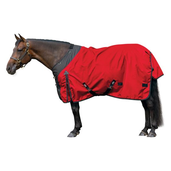 Horse Blankets Turnout & Stable & Waterproof Schneiders