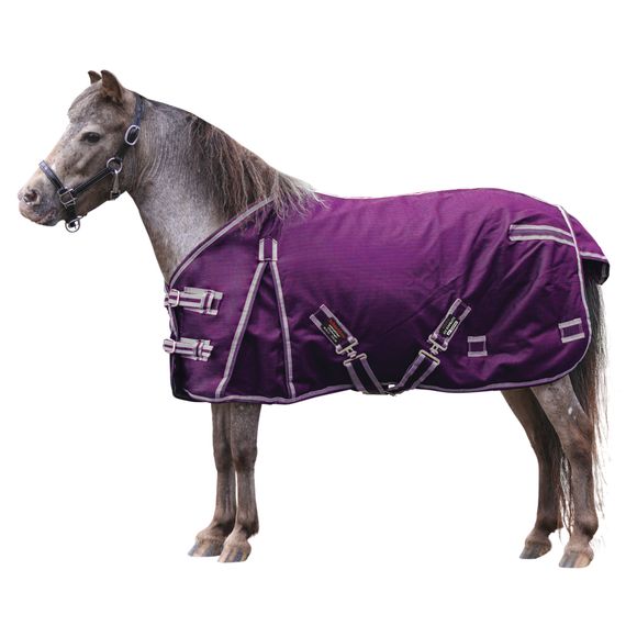 Mini Horse Blankets Lightweight Heavyweight Schneiders