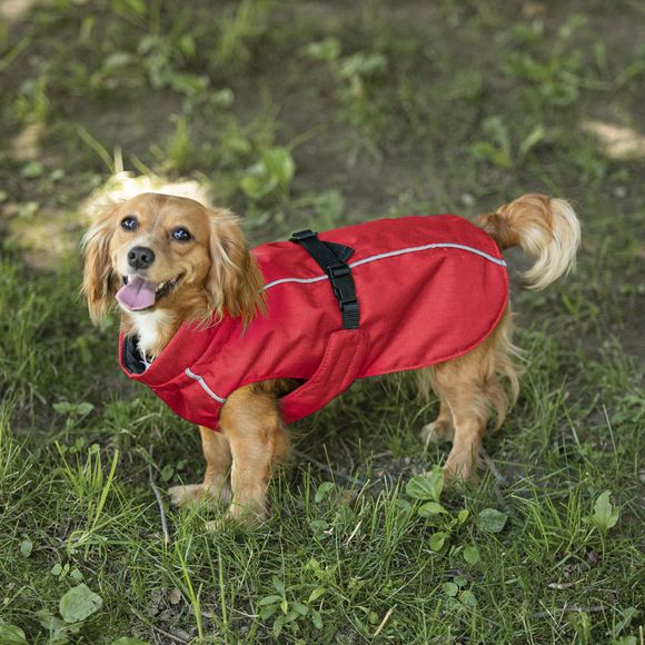 Dog Coats & Dog Jackets Schneiders