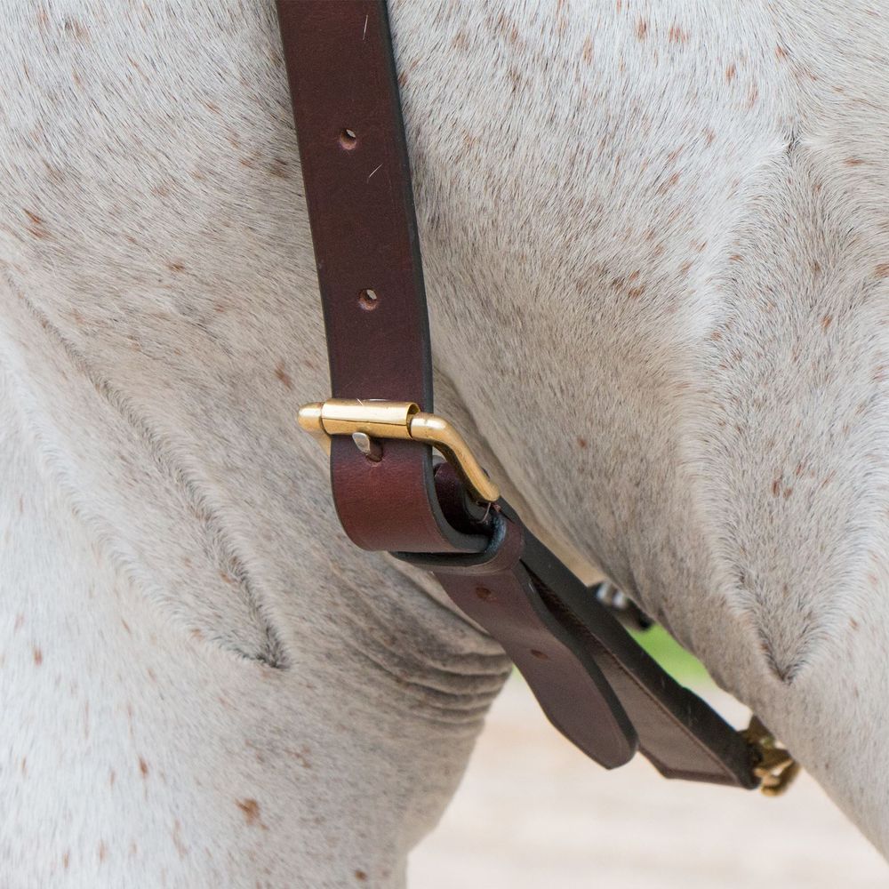 Premier German Martingale Schneiders Saddlery