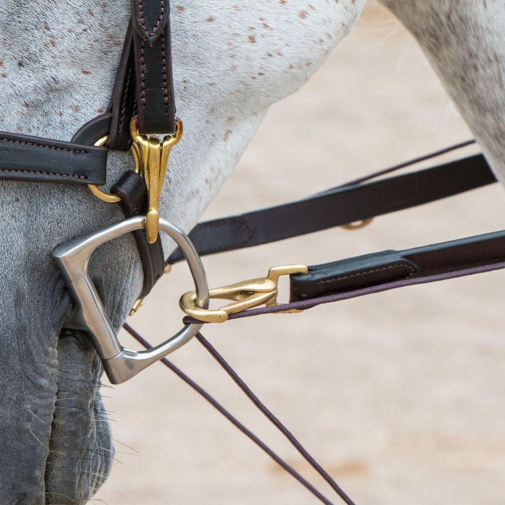 Premier German Martingale Schneiders Saddlery