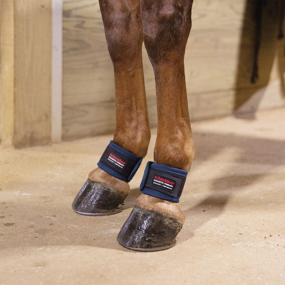 DuraTech® Ankle Wraps (5 Schneiders Saddlery