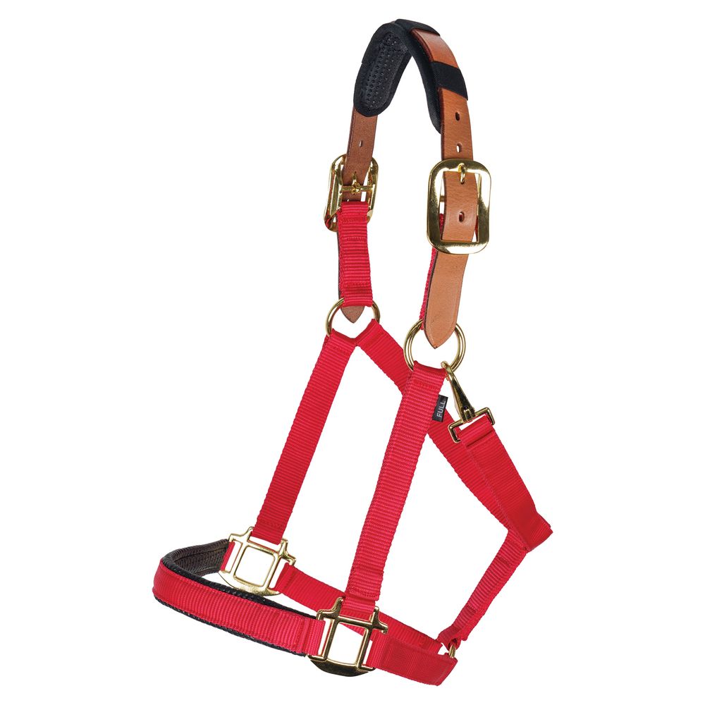 DuraTech® Comfort Plus Nylon Breakaway Halter Schneiders Saddlery