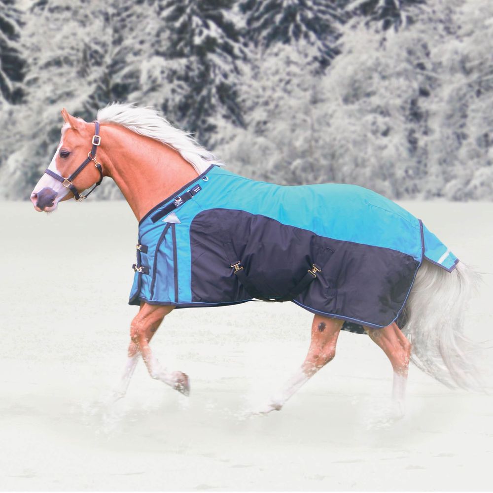 ARMORFlex® Warrior Turnout Blankets Schneiders Saddlery