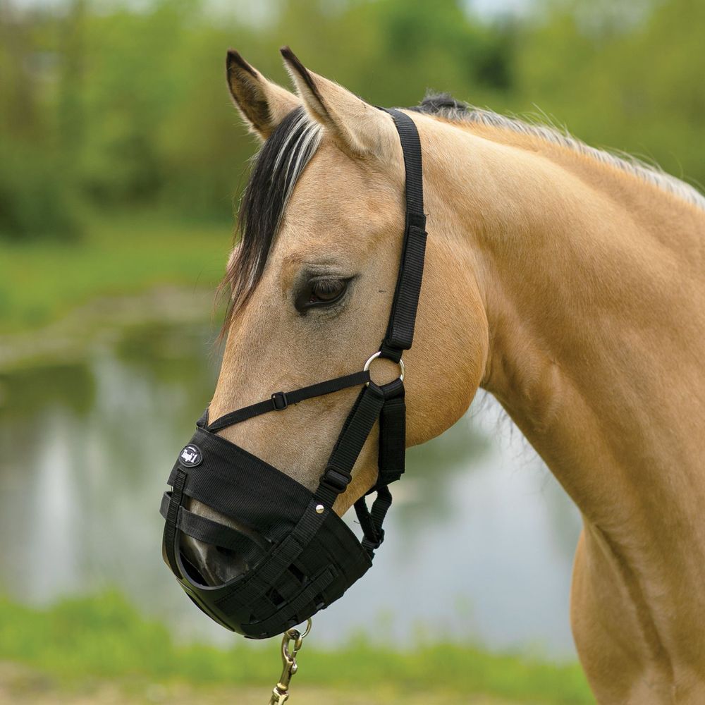 Tough 1 Easy Breathe Deluxe Grazing Muzzle Schneiders Saddlery