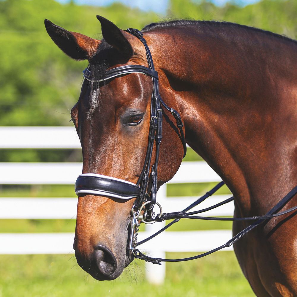 Pinnacle Dressage Double Bridle Schneiders Saddlery
