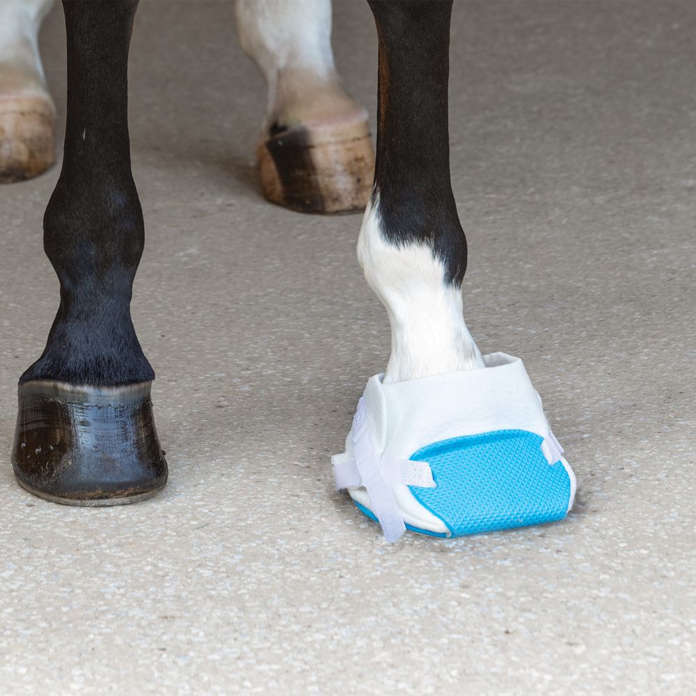 Ultraflex® Flex Foam Hoof Wrap Set Of 4 Schneiders Saddlery