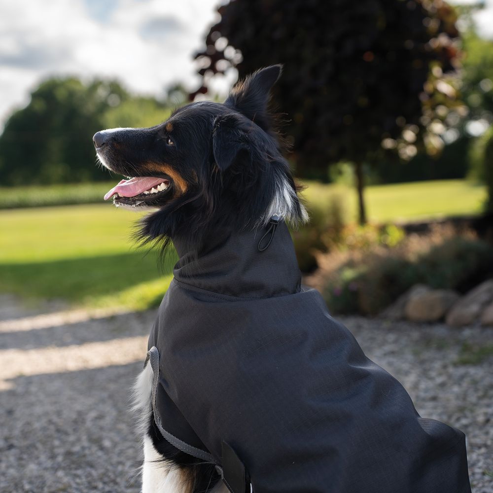 DuraTech® Insulated Waterproof High Neck Dog Coats Schneiders Saddlery