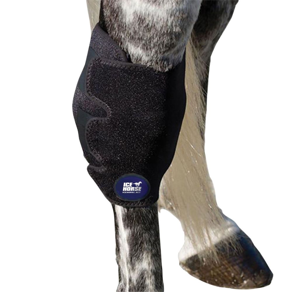 Ice Horse® Hock Wrap Pair Schneiders Saddlery