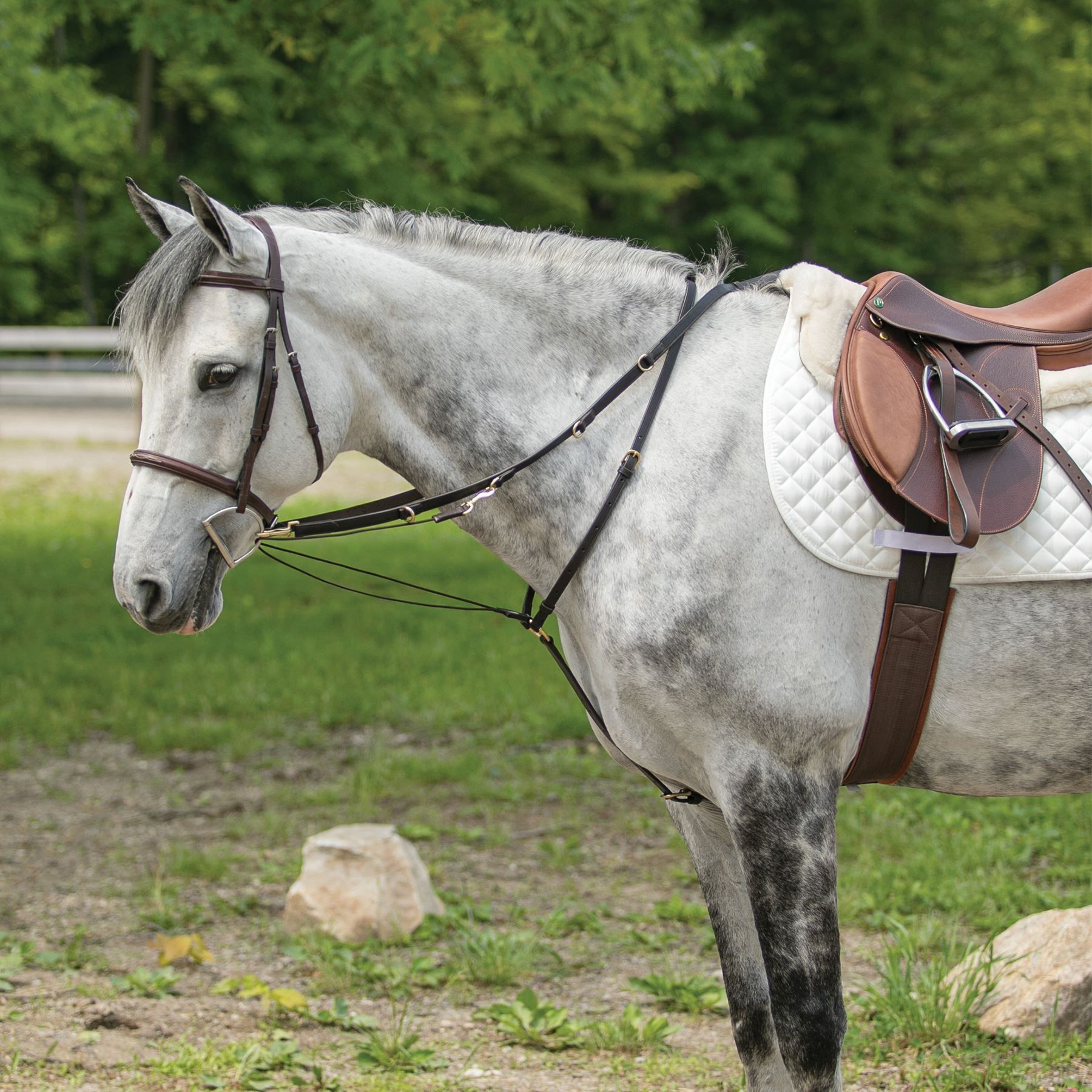 Billy Royal® German Martingale Schneiders Saddlery